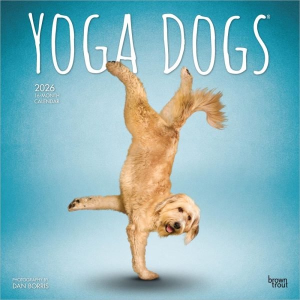 Yoga dogs wall calendar